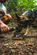 Collapsible Dog Bowl for travel with a dog drinking water outdoors while on a hike.