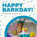 Outward Hound Hide-A-Birthday-Cake Dog Toy – Interactive 2‑In‑1 Plush Puzzle with 3 Squeaky Removable Candles