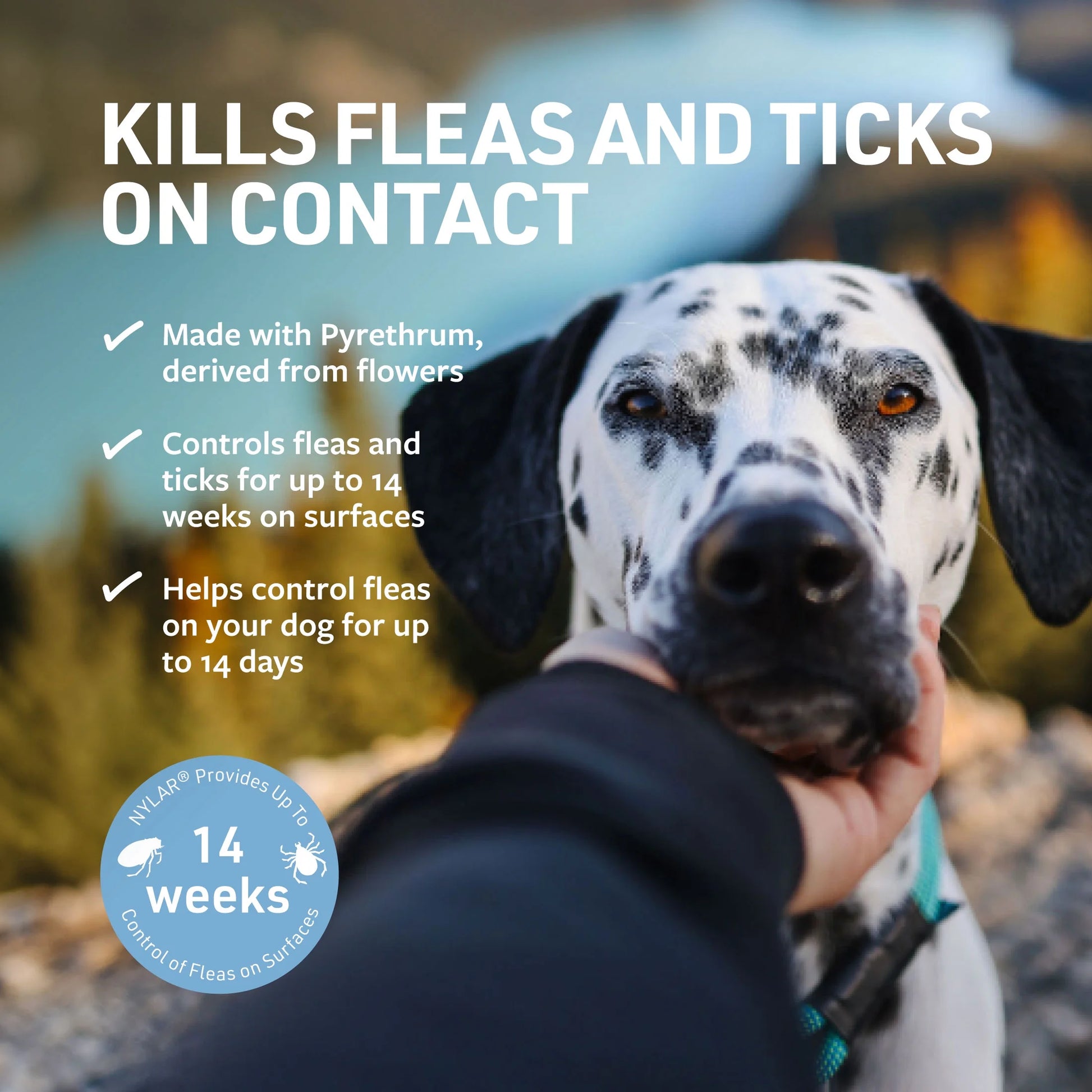 Dog close-up with flea and tick spray benefits showing kills fleas and ticks on contact and long-lasting protection up to 14 weeks