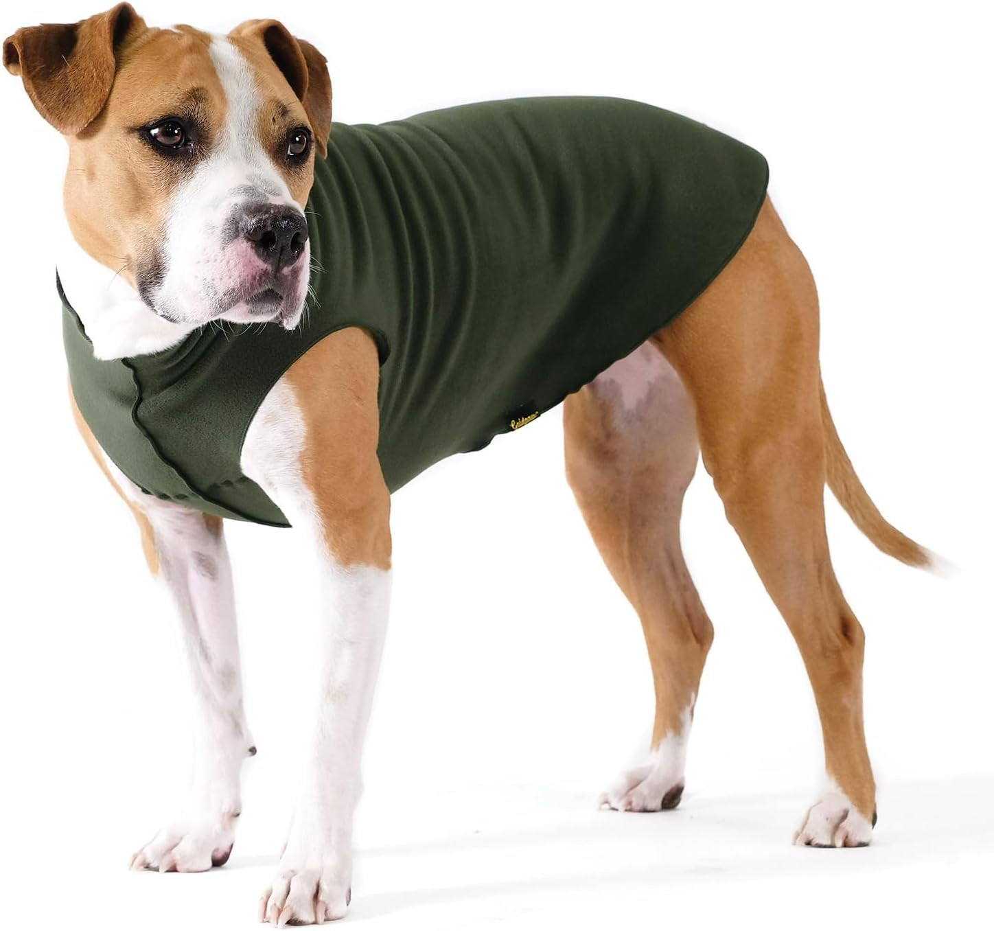 Comfortable Dog Fleece Jacket for Winter worn by a dog, showcasing warmth and comfort for winter walks.