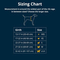 Sizing Chart for No Pull Dog Harness for Everyday Comfort with measurements for different dog sizes.