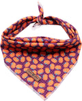 Lionet Paws Dog Bandana for Small Medium Large Dogs, Cat Kerchief Blue DOIT, Triangle Bibs Scarf for Girl or Boy