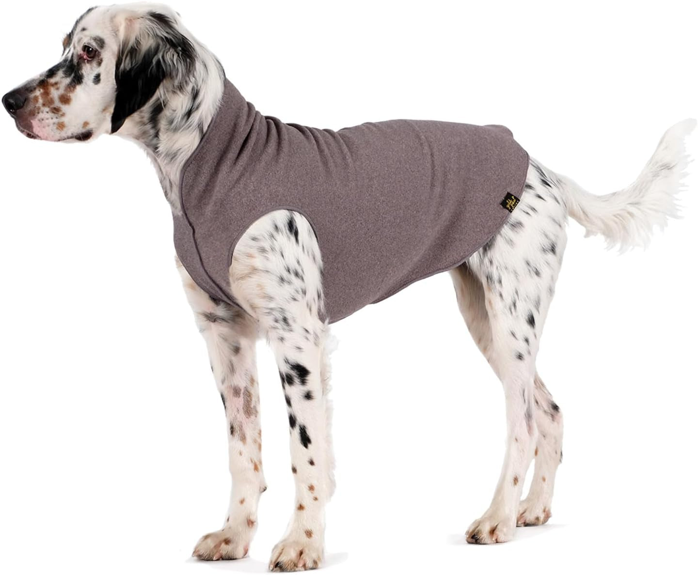 Comfortable Dog Fleece Jacket for Winter worn by a spotted dog, providing warmth during outdoor activities.