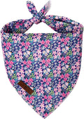 Lionet Paws Dog Bandana for Small Medium Large Dogs, Cat Kerchief Blue DOIT, Triangle Bibs Scarf for Girl or Boy