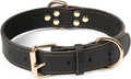 Genuine Leather Heavy Duty Dog Collar featuring gold accents and sturdy construction for durability.