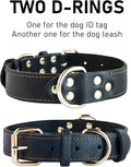 Genuine Leather Heavy Duty Dog Collar featuring two D-rings for dog ID tag and leash attachment.