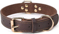 Genuine Leather Heavy Duty Dog Collar with gold hardware and sturdy design, ideal for large dogs.