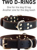Genuine Leather Heavy Duty Dog Collar featuring two D-rings for ID tag and leash attachment.