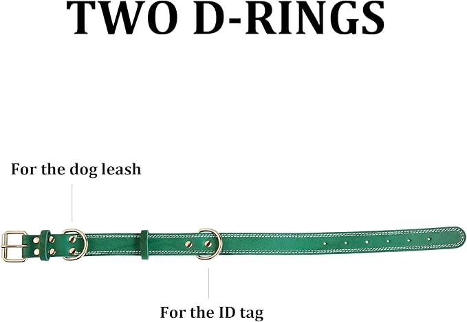 Green Dual Switch Leather Dog Collar
