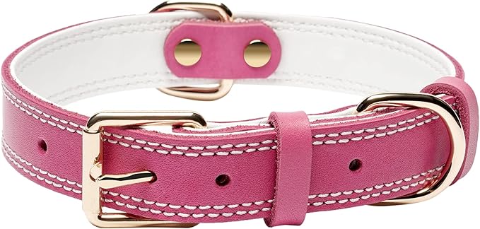 Pink Dual Switch Leather Dog Collar