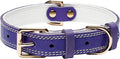 Genuine Leather Heavy Duty Dog Collar in purple color with gold hardware and white stitching.