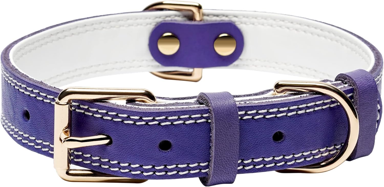 Purple Dual Switch Leather Dog Collar
