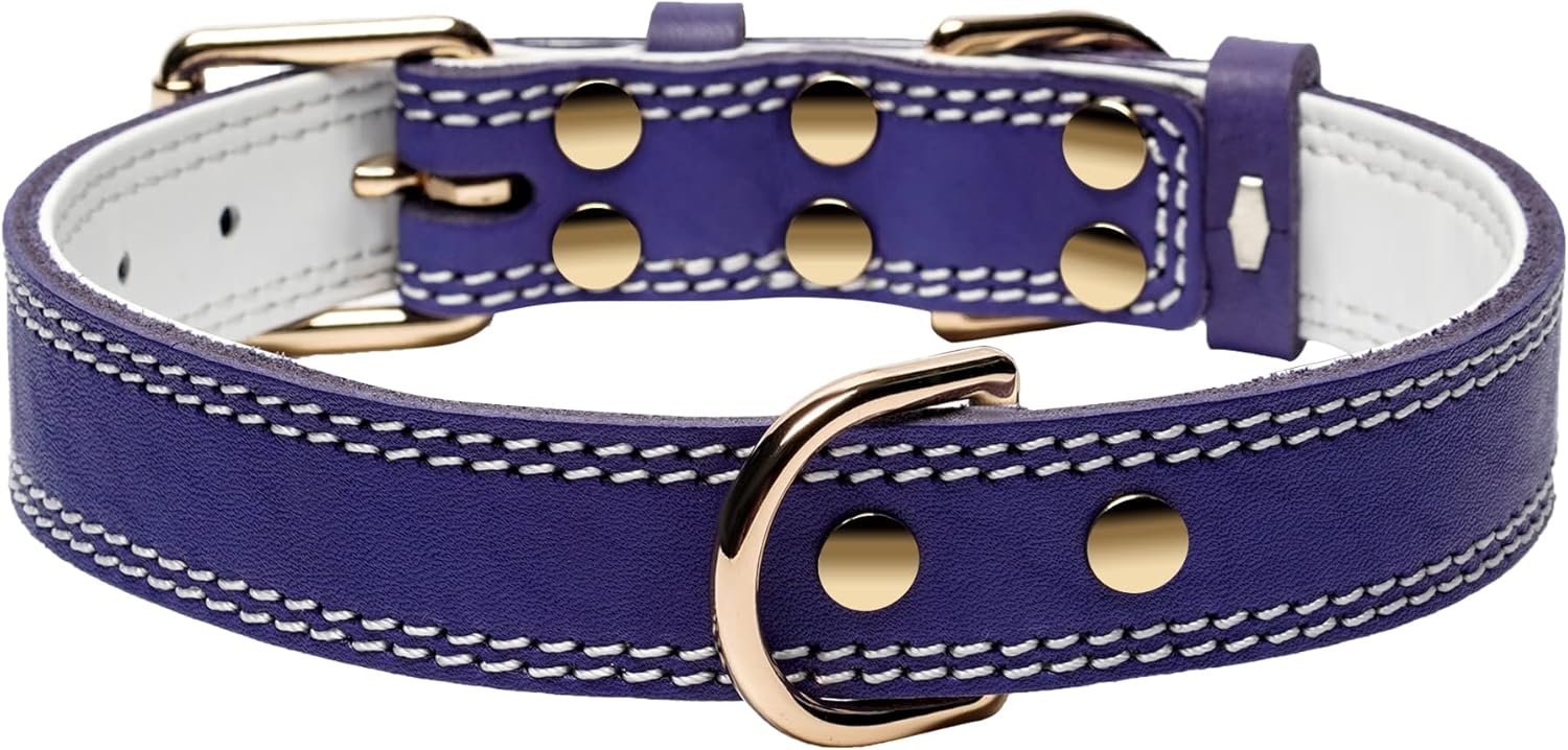 Purple Dual Switch Leather Dog Collar