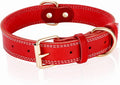 Genuine Leather Heavy Duty Dog Collar in bright red with gold buckle and stitching.