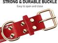 Close-up of a strong and durable buckle on a Genuine Leather Heavy Duty Dog Collar.