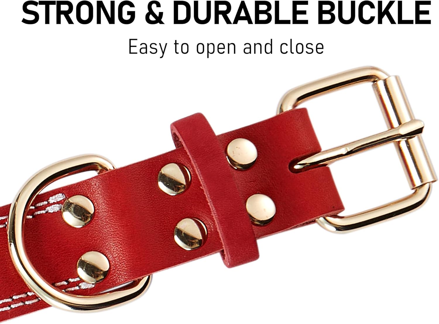Red Dual Switch Leather Dog Collar