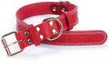 Genuine Leather Heavy Duty Dog Collar in red with gold buckle and stud details for durability and style.