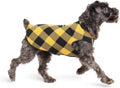 Comfortable Dog Fleece Jacket for Winter on a dog walking in a stylish black and yellow checkered fleece coat.
