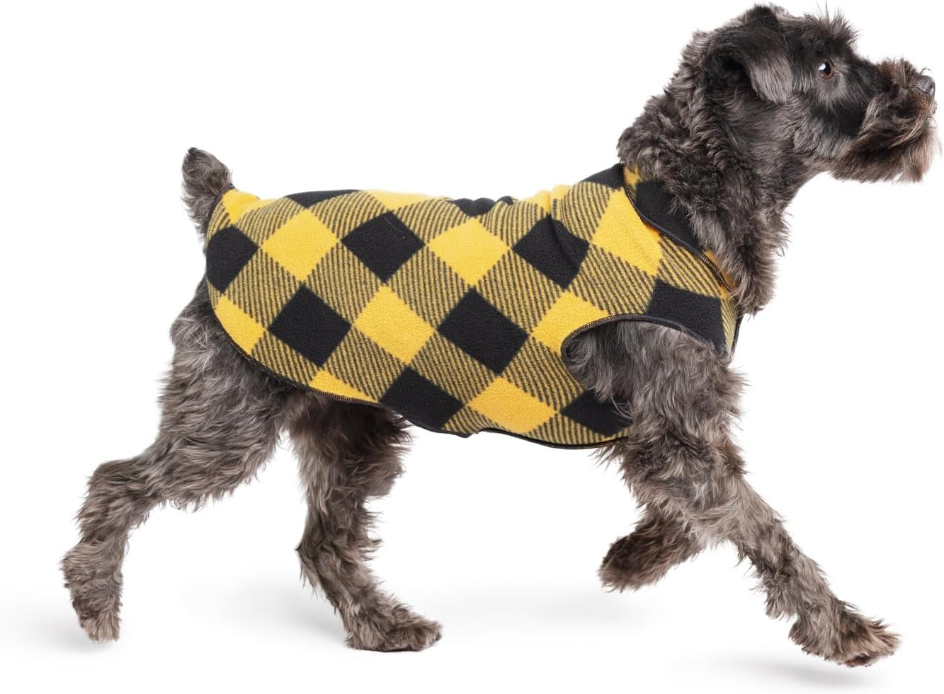 Comfortable Dog Fleece Jacket for Winter on a dog walking in a stylish black and yellow checkered fleece coat.
