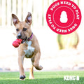 KONG Puppy Teething Dog Toy
