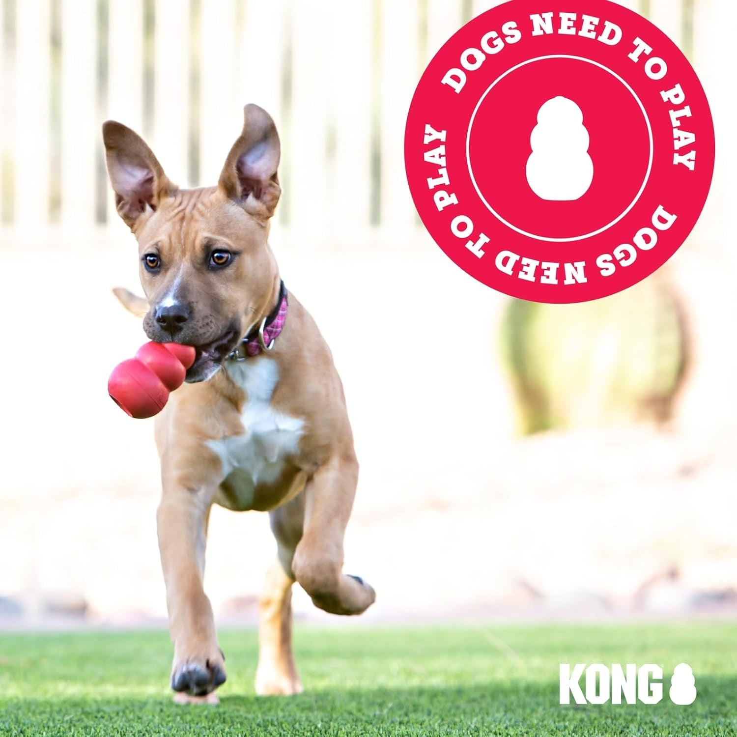 KONG Puppy Teething Dog Toy