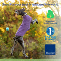 Comfortable Dog Fleece Jacket for Winter on a dog playing with a ball outdoors, emphasizing eco-friendly practices.