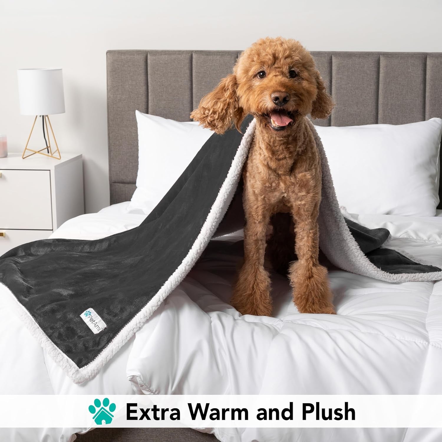 Brown dog sitting on bed wrapped in thick reversible sherpa dog blanket showing soft plush warmth and comfort for pets