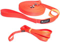 long dog leash for large dogs.