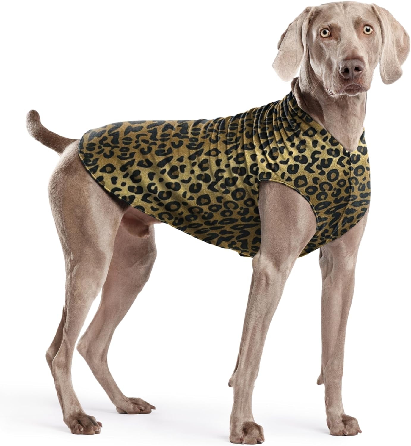 Comfortable Dog Fleece Jacket for Winter on a dog with a leopard print design.