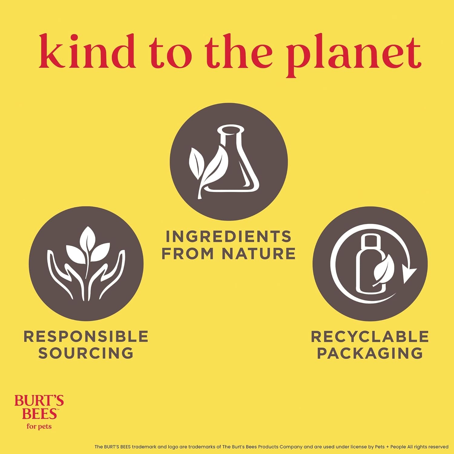 Hypoallergenic Cat Shampoo with Shea Butter and Honey