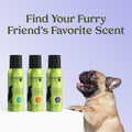 PAWFUME Royal Lavender Probiotic Dog Grooming Spray bottles with a French Bulldog.