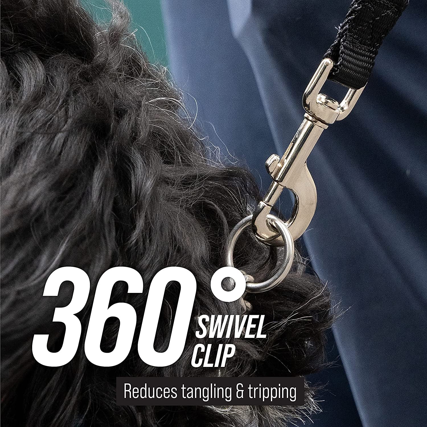 long dog leash for large dogs.