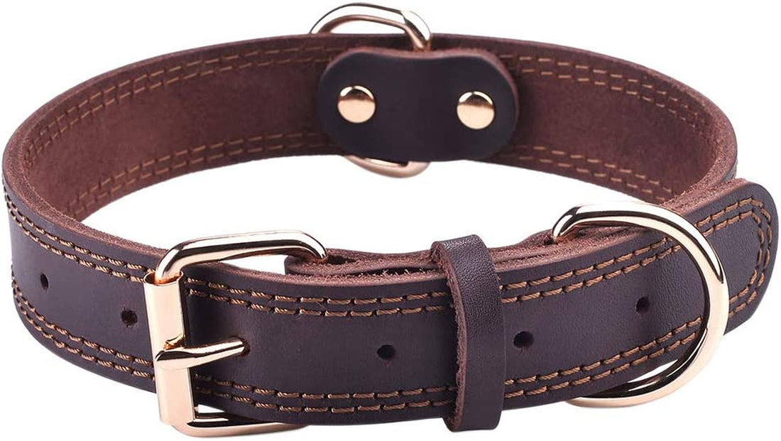 Genuine Leather Heavy Duty Dog Collar