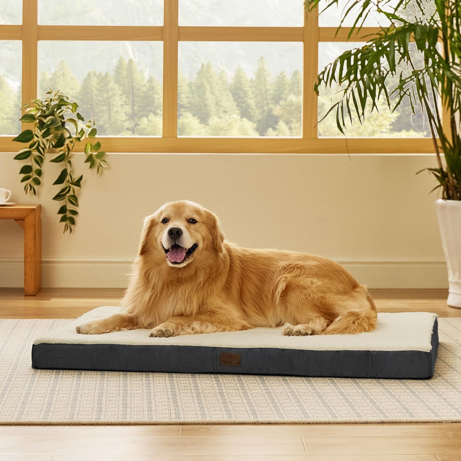 Pet Beds with Removable Washable Cover