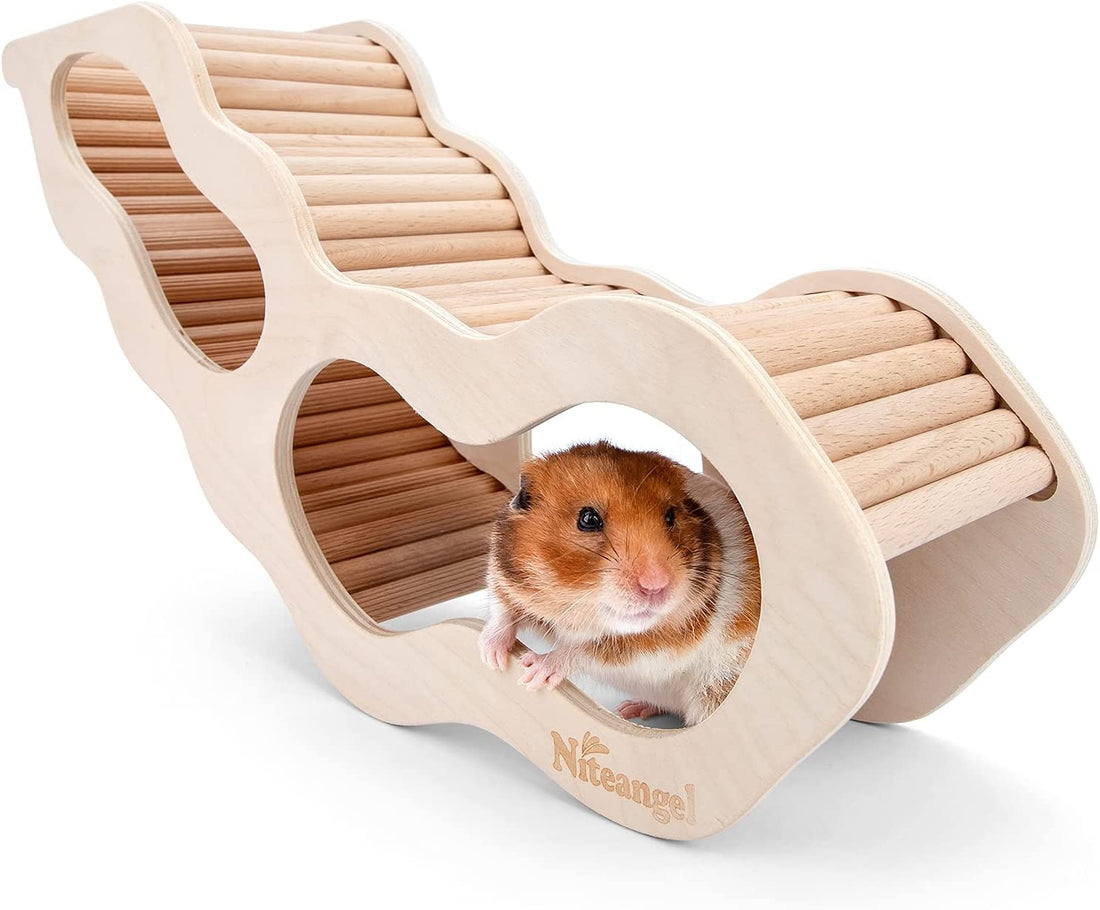 Hamster House with Ladder & Tunnel