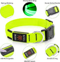 LED dog collar featuring a bright glow strap, sturdy buckle, and USB rechargeable design for nighttime visibility.