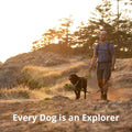 A man walking a dog on a trail at sunset, showcasing the No Pull Dog Harness for Everyday Comfort.