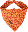 Lionet Paws Dog Bandana for Small Medium Large Dogs, Cat Kerchief Blue DOIT, Triangle Bibs Scarf for Girl or Boy