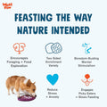 West Paw Seaflex Waves Feast Mat – All-In-One, Slow Feeder, Lick Mat – Encourages Foraging & Food Exploration - Engages Picky Eaters & Slow Feeding - Versatile – Easy to Clean, Non-Toxic - Tropic