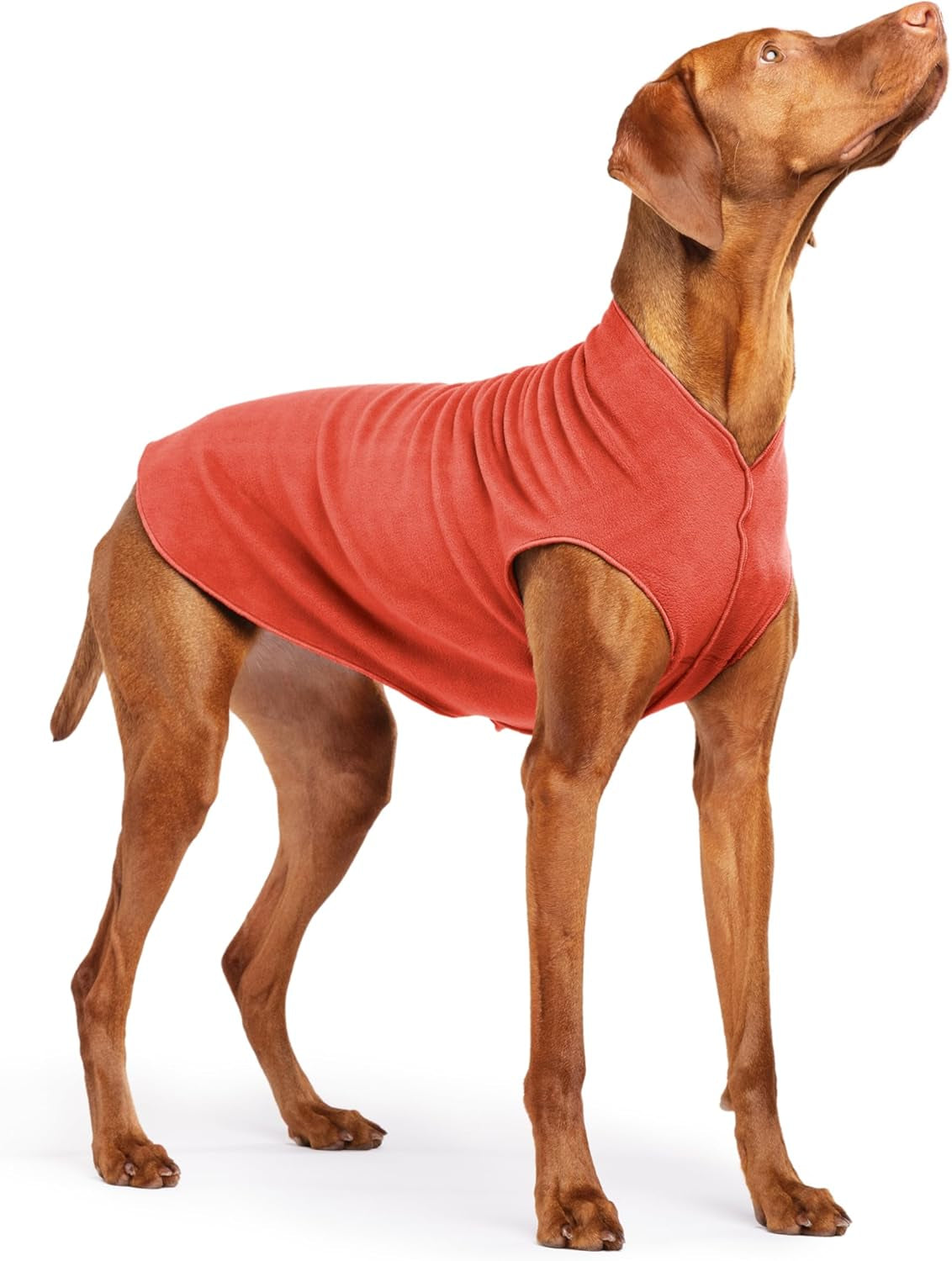 Comfortable Dog Fleece Jacket for Winter worn by a brown dog, perfect for cold weather walks.