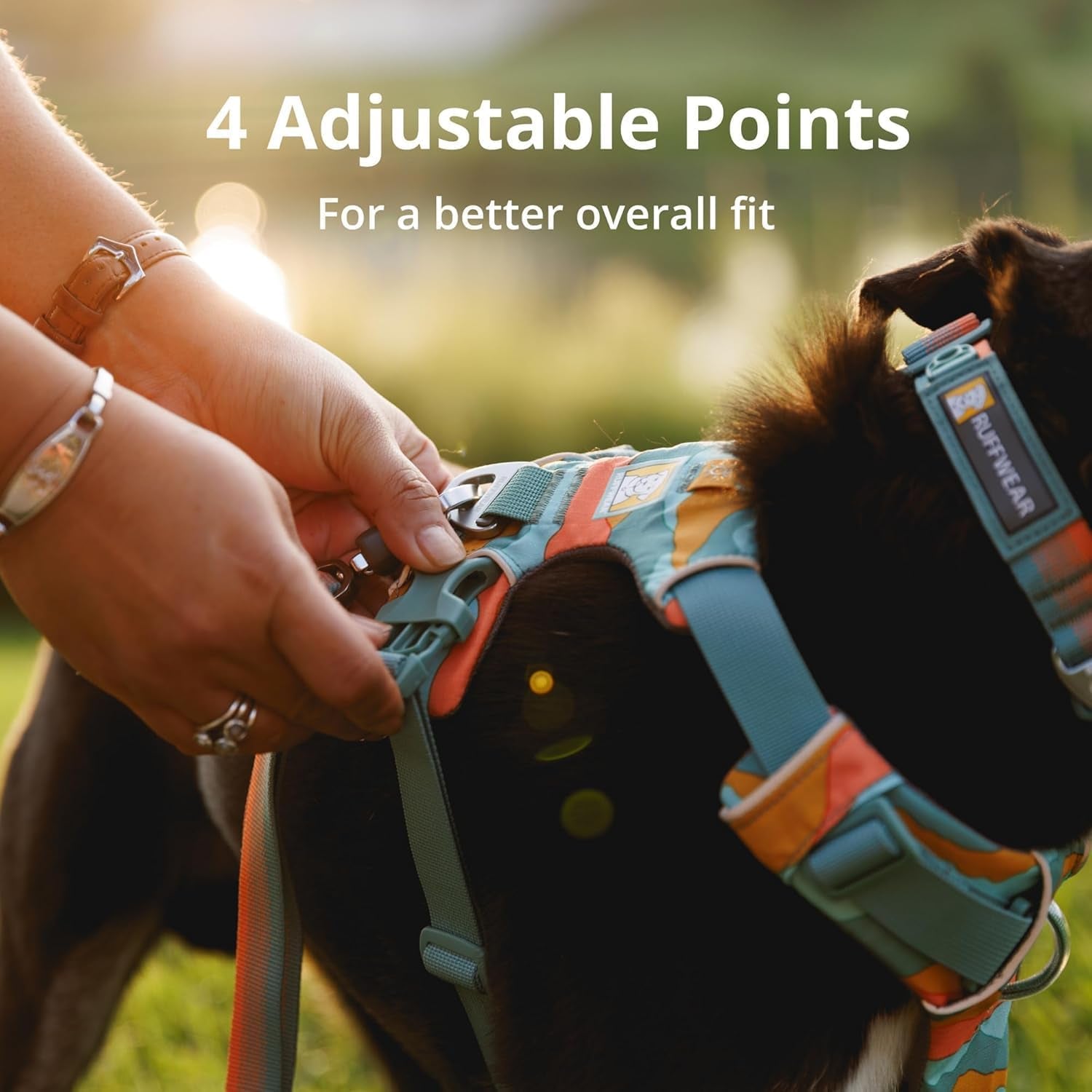 No Pull Dog Harness for Everyday Comfort showing 4 adjustable points for a better overall fit.