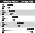 long dog leash for large dogs.