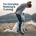 No Pull Dog Harness for Everyday Comfort being used during walking and training with a dog.