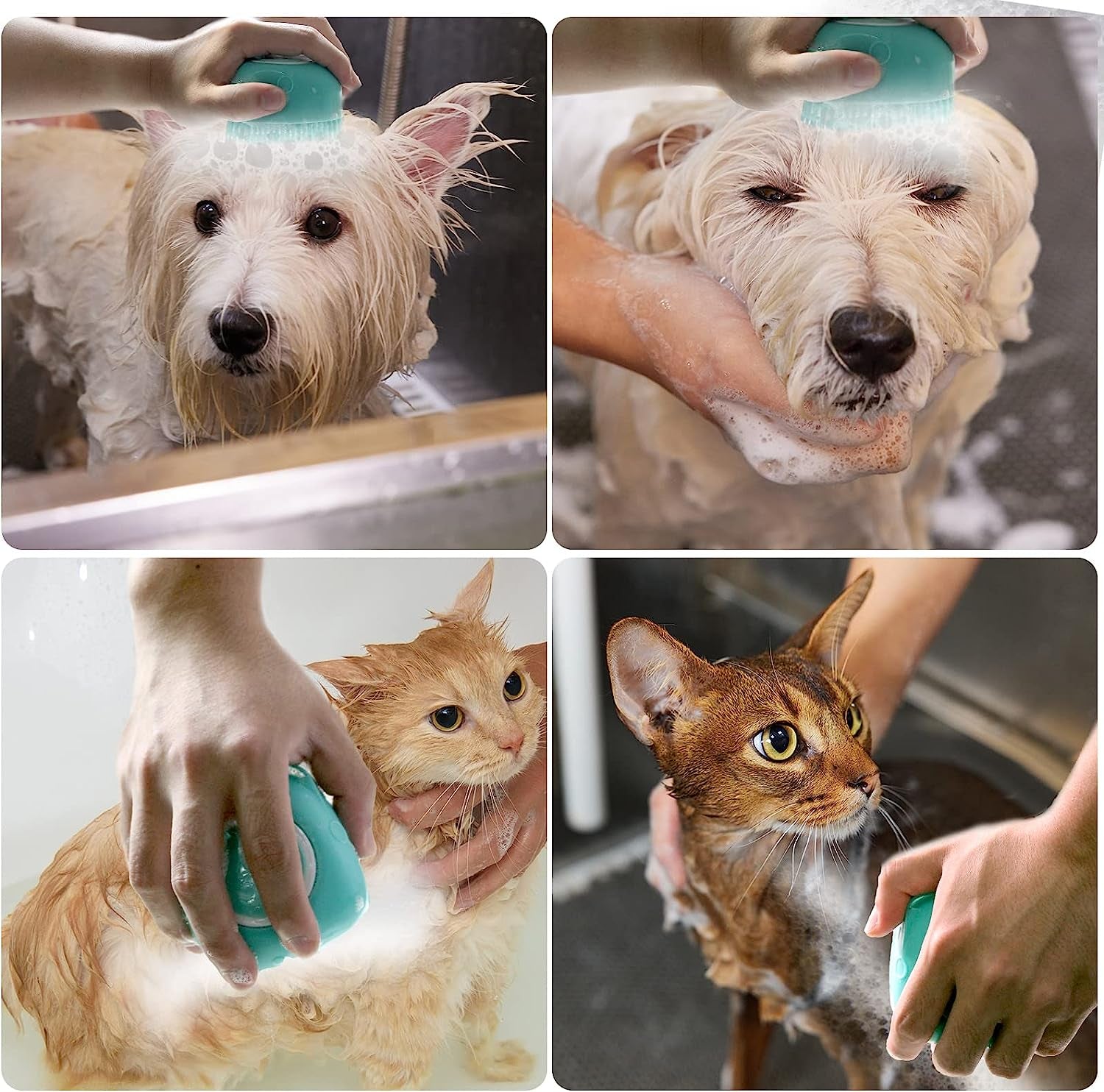 Dog bath brush with shampoo dispenser being used on dogs and cats during bath time.