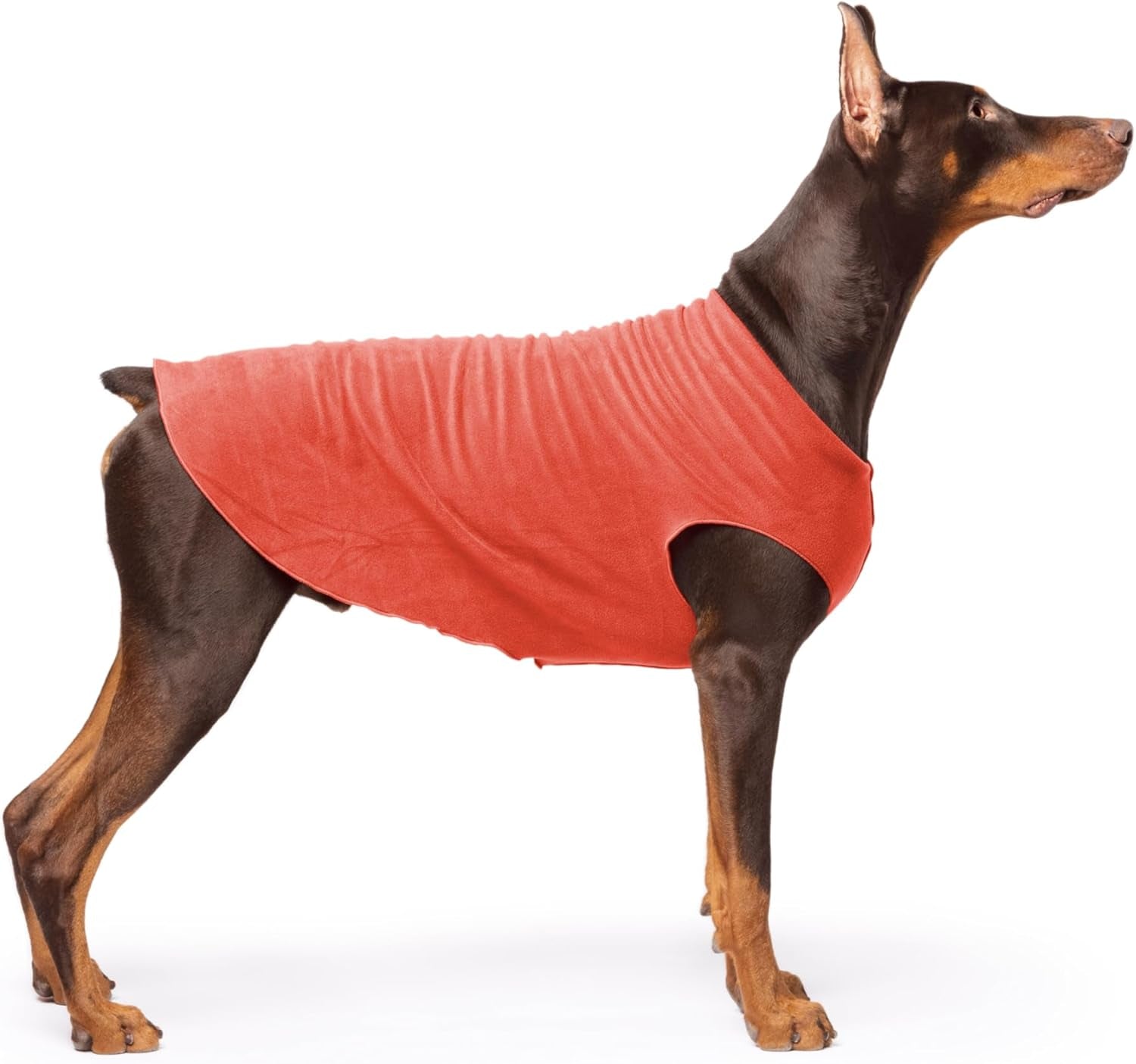 Comfortable Dog Fleece Jacket for Winter on a Doberman, showcasing warmth and style for cold weather.