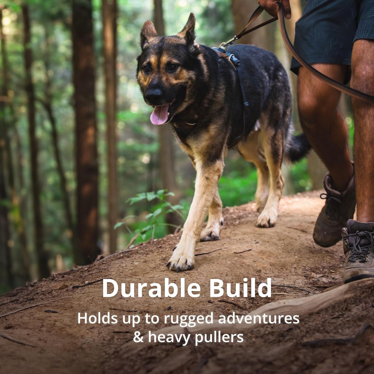 No Pull Dog Harness for Everyday Comfort, Durable Build for rugged adventures and heavy pullers.