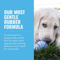 KONG Puppy Teething Dog Toy