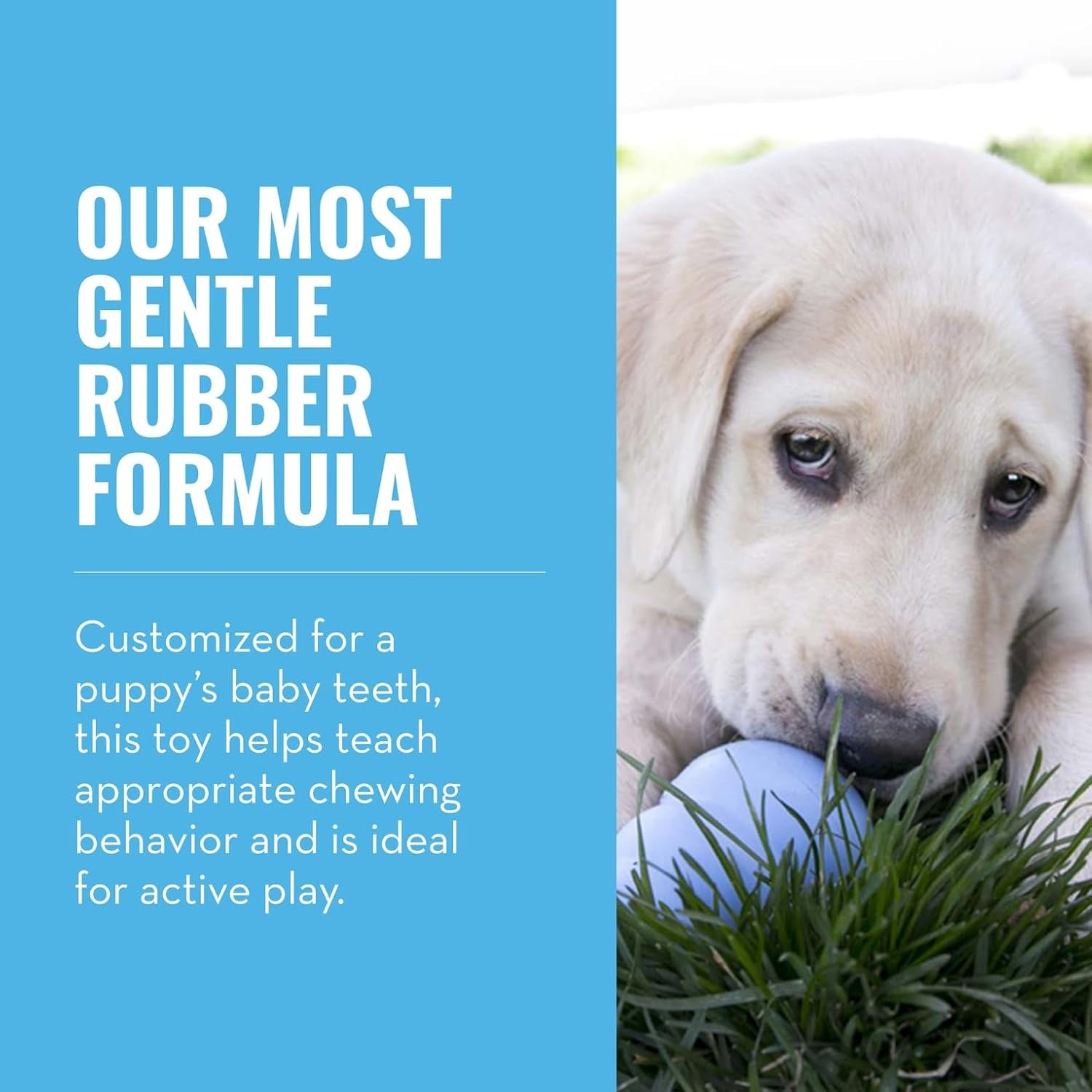 KONG Puppy Teething Dog Toy