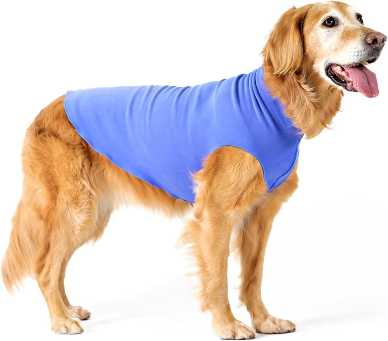 Comfortable Dog Fleece Jacket for Winter on a golden retriever in blue, ideal for keeping dogs warm during cold weather.