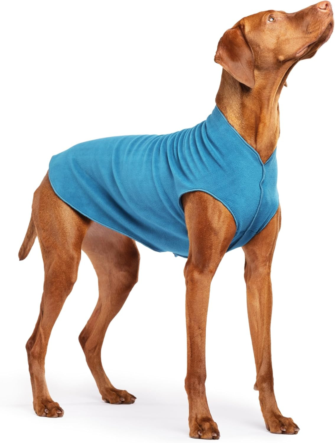 Comfortable Dog Fleece Jacket for Winter on a dog, designed for warmth in cold weather.